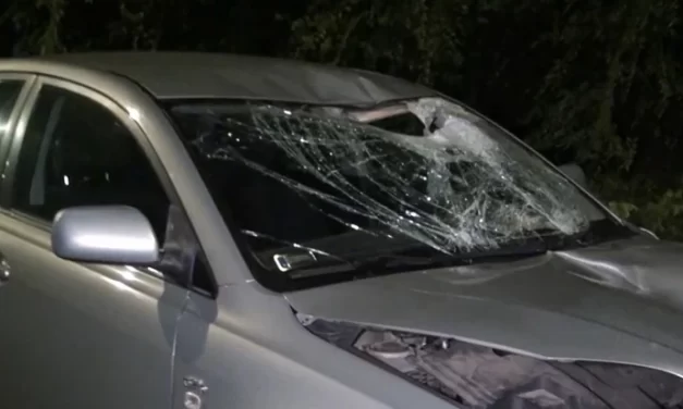 „Nem biztos, hogy túléli” – az orvosok felkészítették a szülőket a legrosszabbra, miután a 18 éves fiukat a zebrán gázolta el egy bedrogozott sofőr