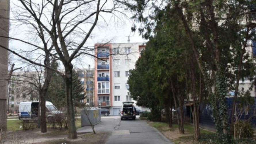 Az utcán csapott le védtelen nőkre a tatabányai rém