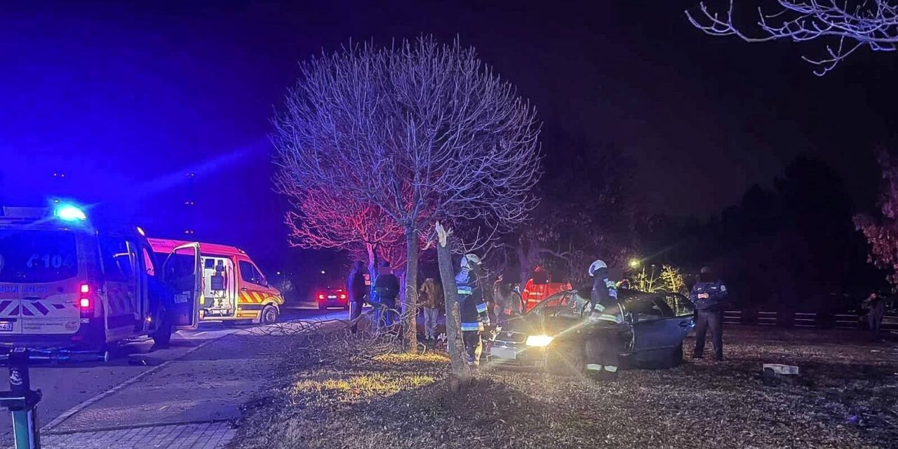 „Nagyon ki volt, hogy ne hagyja itt a párja” – telefonon beszélt párjával a nő, aki buliból tartott hazafelé, majd egy fának csapódott és meghalt