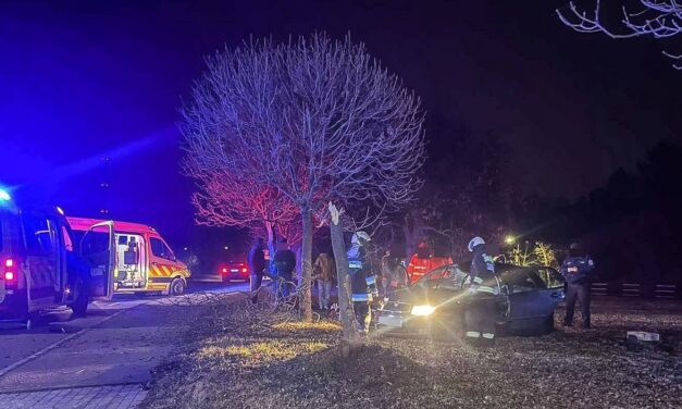 „Nagyon ki volt, hogy ne hagyja itt a párja” – telefonon beszélt párjával a nő, aki buliból tartott hazafelé, majd egy fának csapódott és meghalt