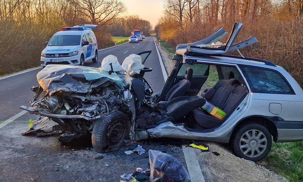 Halálos baleset Sorokpolányban: esküvőjére készült a Suzuki sofőrje, kutyáját a baleset helyszínén gázolta el egy autós