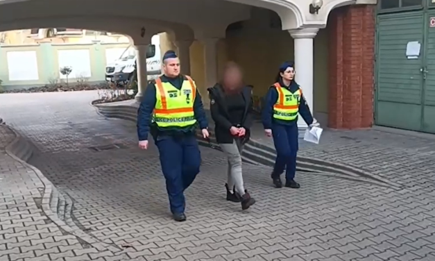 A rendőrök élesztették újra a ráckevei postásnőt, miután S. Réka részegen, lopott autóval elgázolta és sorsára hagyta