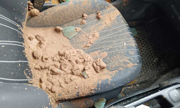 Szar-ügy: egy vödörnyi, vízben higított kutyaürüléket öntöttek a Mi Hazánk Pest megyei képviselőjének autójába