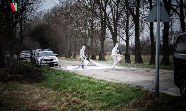 Egyre durvább a járványhelyzet Magyarországon: a ragadós száj – és körömfájás miatt már a Kéktúra két szakaszát is le kellett zárni