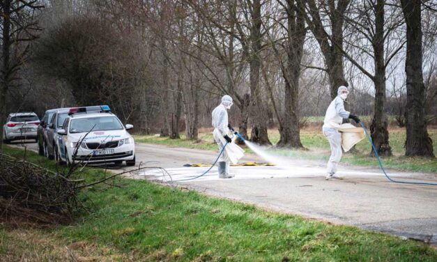 Száj – és körömfájás: a járvány miatt, szombattól 21 átkelőt zárnak le a magyar-osztrák határon