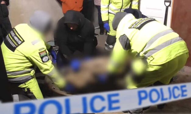 Részegen, egy virágcseréppel verte agyon gyermekkori barátját a nyugdíjas férfi Monoron