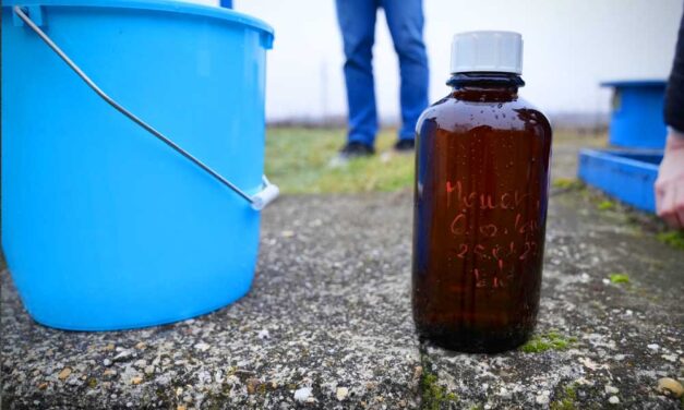 Rákkeltő arzént találtak a Pest megyei város ivóvízében: azonnal leállították a fogyasztását, felfüggesztették a fogászati kezeléseket