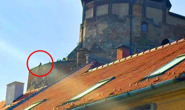 Borzalom: mélybe zuhant egy 13 éves gyermek az esztergomi vár faláról, mentőhelikopter érkezett a helyszínre – videó a cikkben