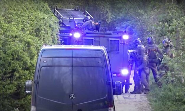 Meghalt a férfi, aki a TEK-es akció közben lőtte magát fejbe Törökbálinton, fegyvereket és drogot találtak a lakásán: videó a rajtaütésről