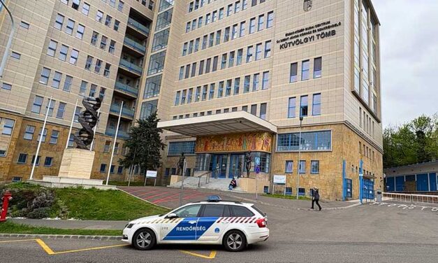 Fejbe lőtte magát egy férfi Törökbálinton: golyóálló mellényes rendőrök kísérték a élet-halál közt lebegő sérültet az intenzív osztályra