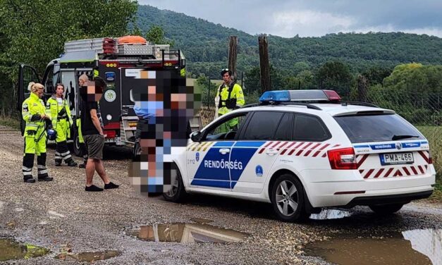 Rejtélyes üzenet érkezett a Pilisben eltűnt Nikitől: öt napja égen-földön keresik a 27 éves nőt – fotó a cikkben