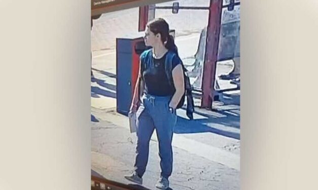 Kaszás Nikolett eltűnése: 9 napja veszett nyoma a Pilisben a 27 éves nőnek, a rendőrség közzétette a róla készült utolsó kamerafelvételt