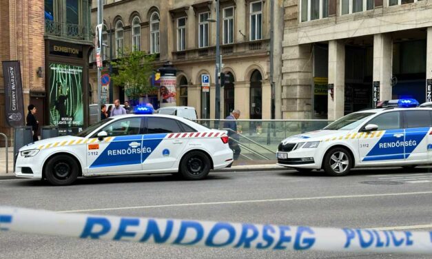 Csecsemőhalál Budapesten: ringatás közben esett ki az apja kezéből a kéthónapos kislány, a férfi nem tudta újraéleszteni a gyermeket