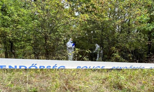 „Az édesapja is hasonló körülmények között hal meg” – újabb részletek derültek ki a Pilisben eltűnt 27 éves lány halálának körülményeiről