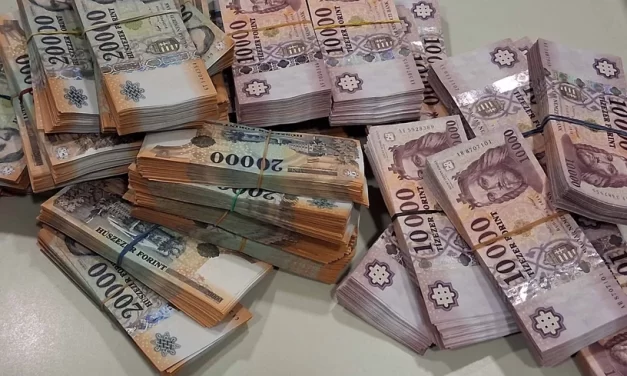 Lebukott az orvosmaffia: több száz millió forintot foglaltak le a budapesti kórház belgyógyászati osztályán, két doktort letartóztattak – videó a cikkben