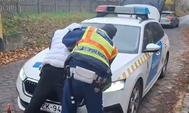 Támadás a váci vasútállomáson: fuvart ígértek egy külföldinek, ehelyett bántalmazták és kirabolták – rendőrségi videó a cikkben