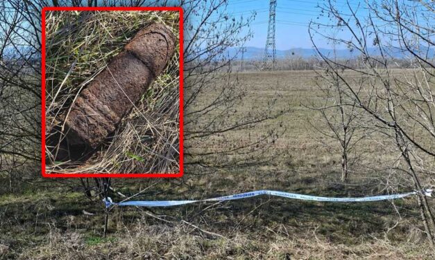 Szemétszedés közben bombát találtak Dunakeszin, a robbanóeszköz olyan veszélyes volt, hogy a helyszínen hatástalanították