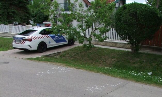 Karóval támadt a végrehajtókra apa és lánya Cegléd környékén, börtönbe kerülhetnek tettükért