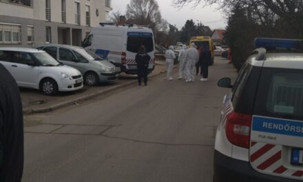 4 hónap házasság után, saját hálószobájában késelte halálra feleségét, miután milliókkal húzta le az asszony fiát