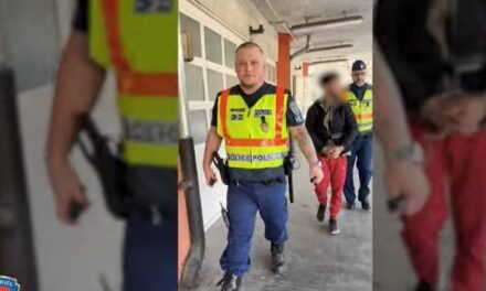 Baltával és bottal támadtak rá egy férfira Csörögön