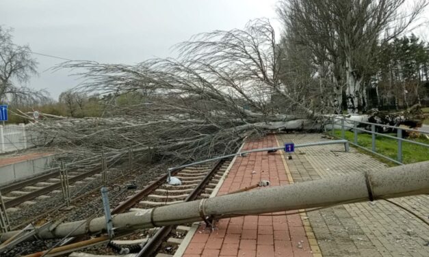 Vihar a Balatonon: fa dőlt a sínekre, nem járnak a vonatok a déli parton