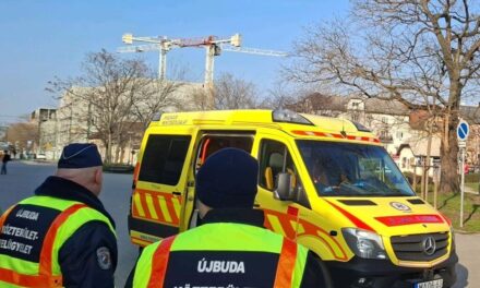 Életveszélyesen megkéselte volt élettársát egy férfi Vecsésen, a nő válaszul arcon lőtte őt