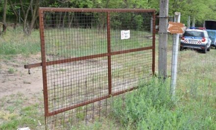 Egy hódmezővásárhelyi tanyán rendezett vérfürdőt a zavart fiú: a tettes édesanyját korábban meggyilkolták