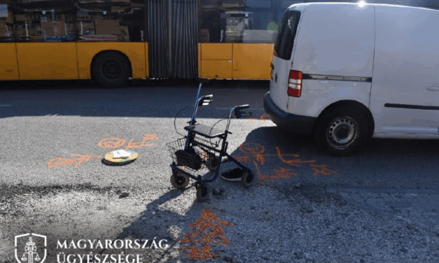 Halálos gázolás Maglódon: tolatás közben ütötték el a járókeretes férfit