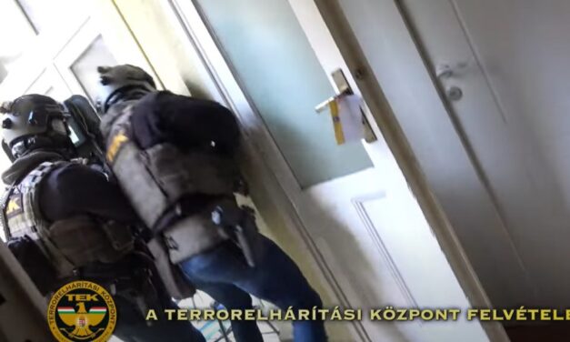 Lelőttek egy fegyverrel fenyegetőző férfit a TEK kommandósai Monoron