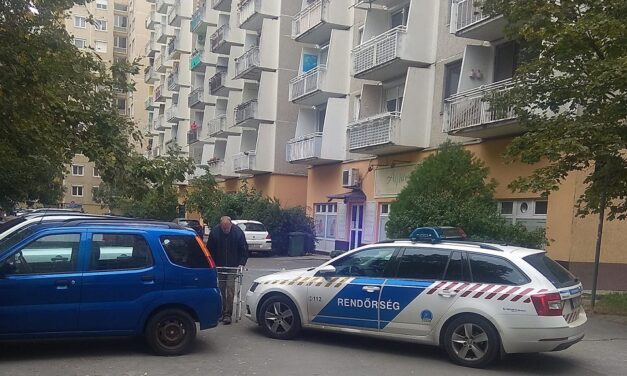 Ittasan szúrta hátba haragosát Budapesten, a Havanna lakótelepen