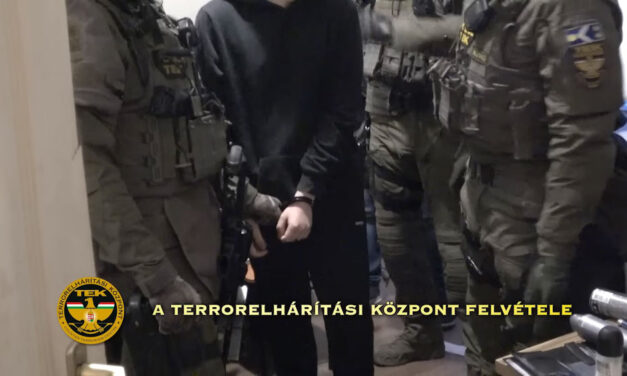 Fegyvereket árult a józsefvárosi piacon a szerszámboltos, egy egész bandára csapott le a TEK – videó a cikkben