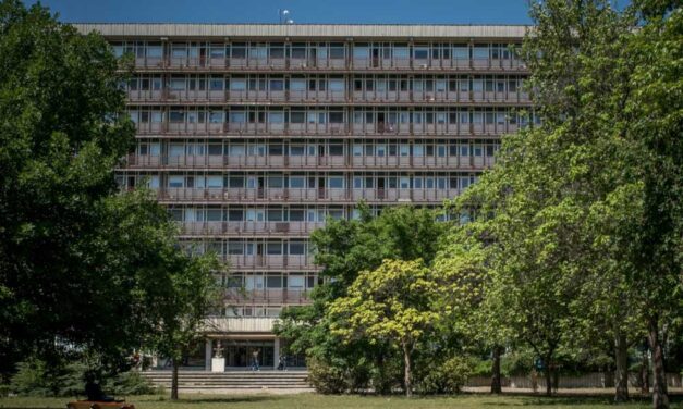 Rémálom a budapesti kórház belgyógyászatán: hemzsegtek a kukacok az egyik beteg pelenkája alatt, a férfi 2 nap múlva meghalt